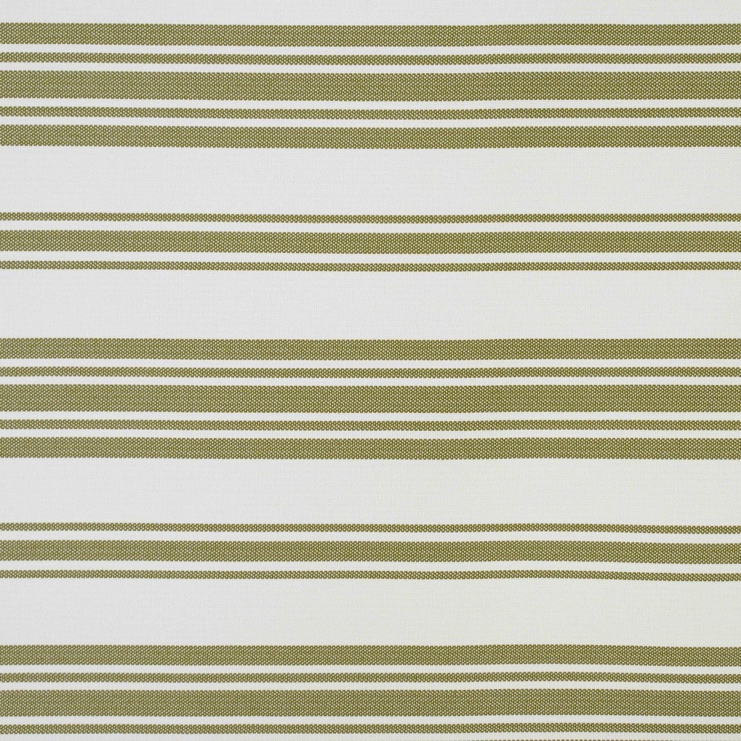 Salerno - Olive