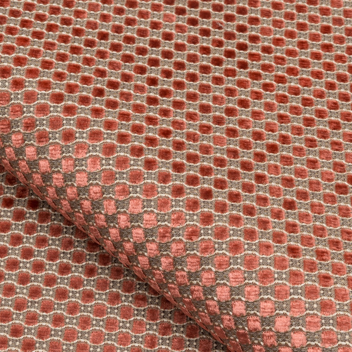 Velours Raphael - 10347_49