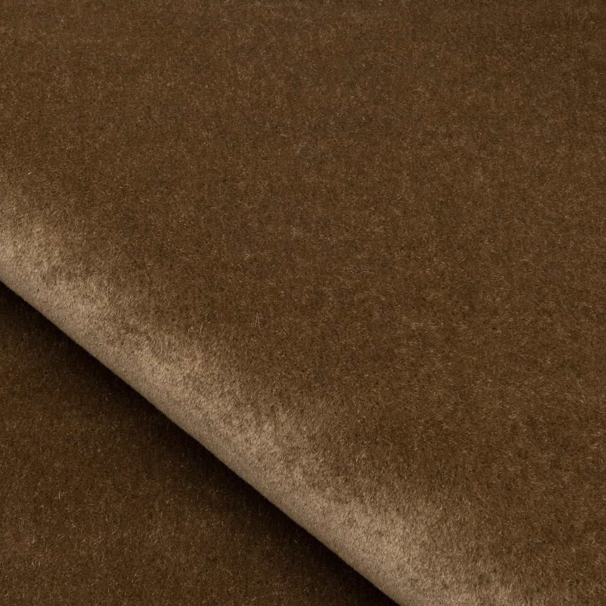 Velours Mohair - Ours