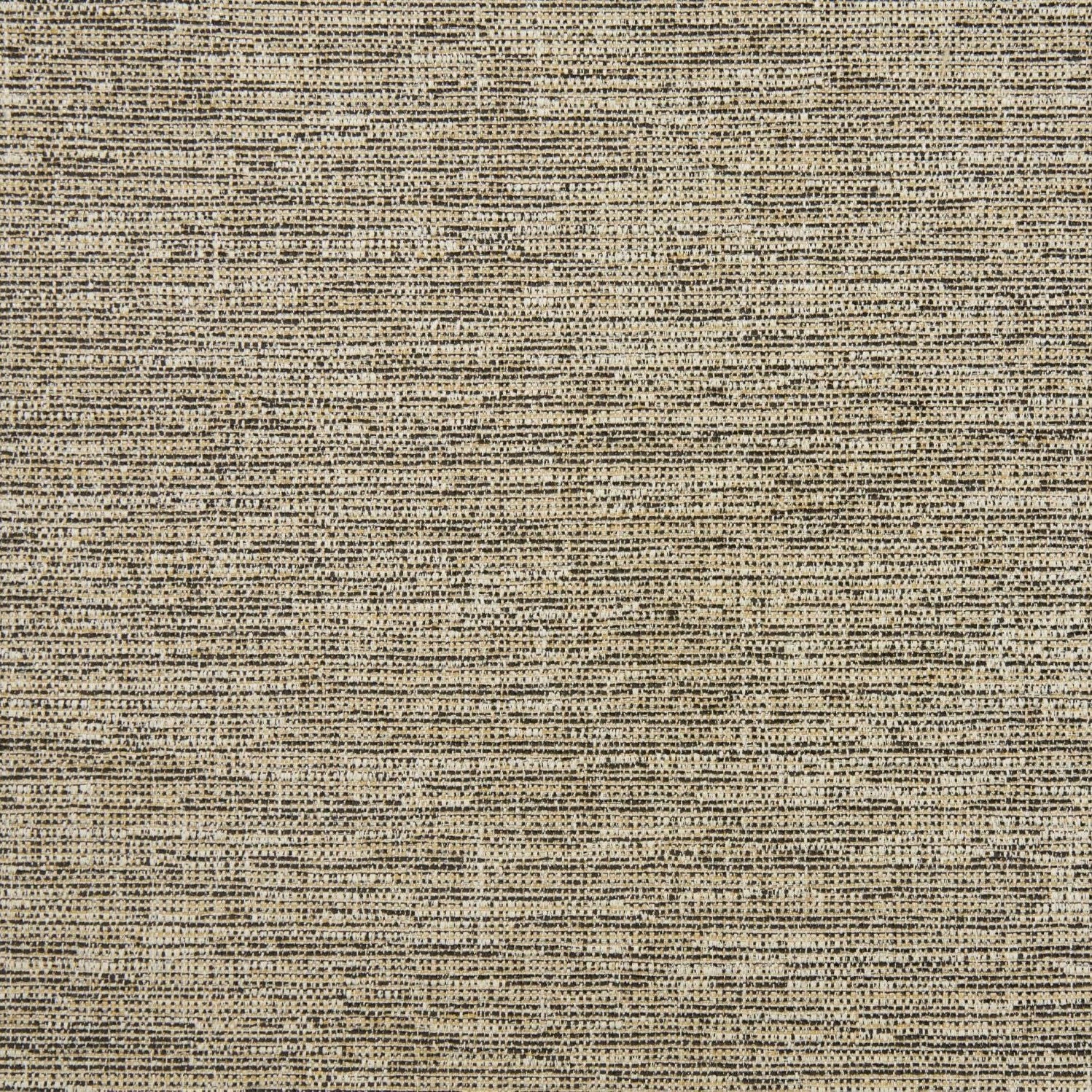 Avellino - Chocolate Chip