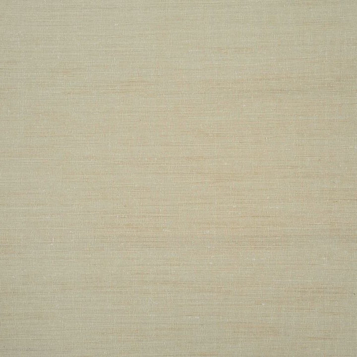 Aranya - Andaman Sand