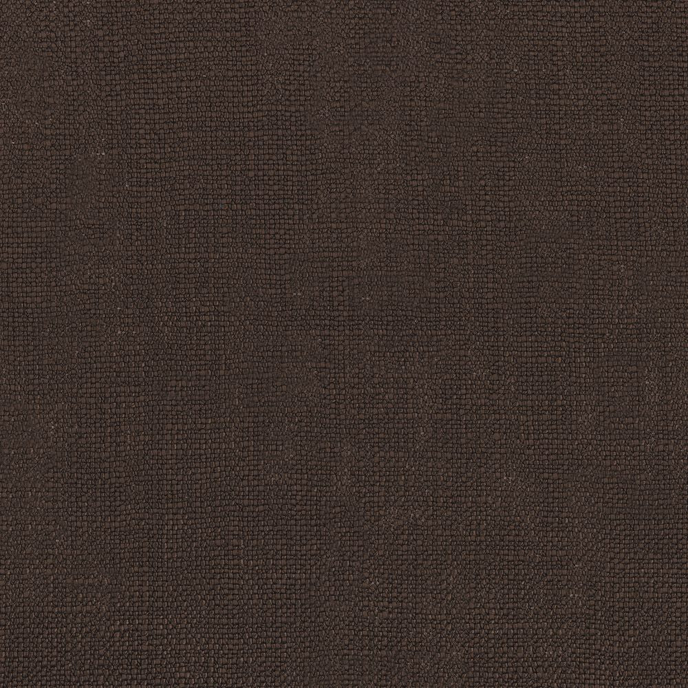 Livingstone Brun Chocolat
