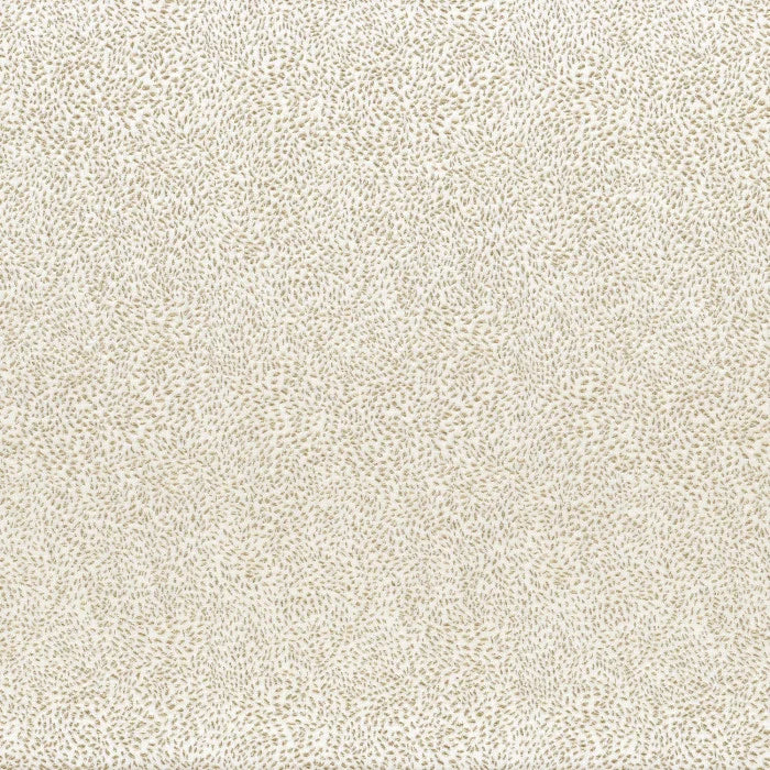 Hima - Blanc