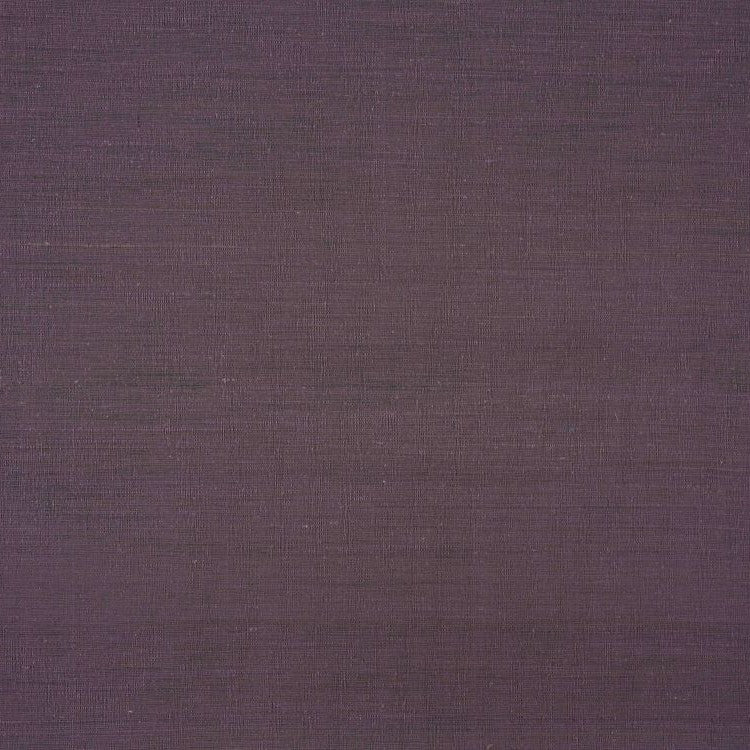 Aranya - Jungle Orchid