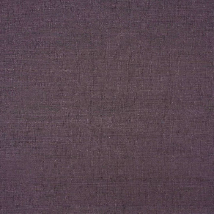 Aranya - Jungle Orchid