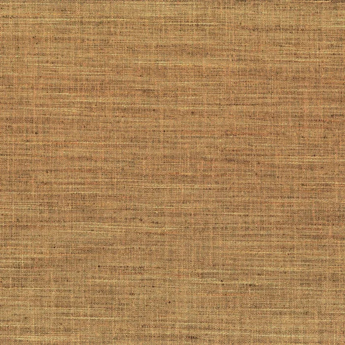 Polo - Ambre