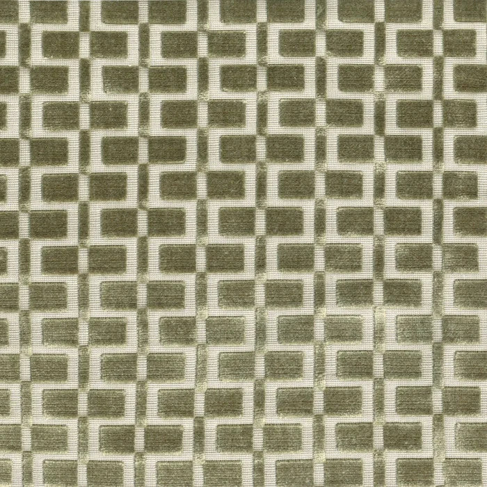 Analogie - Kaki