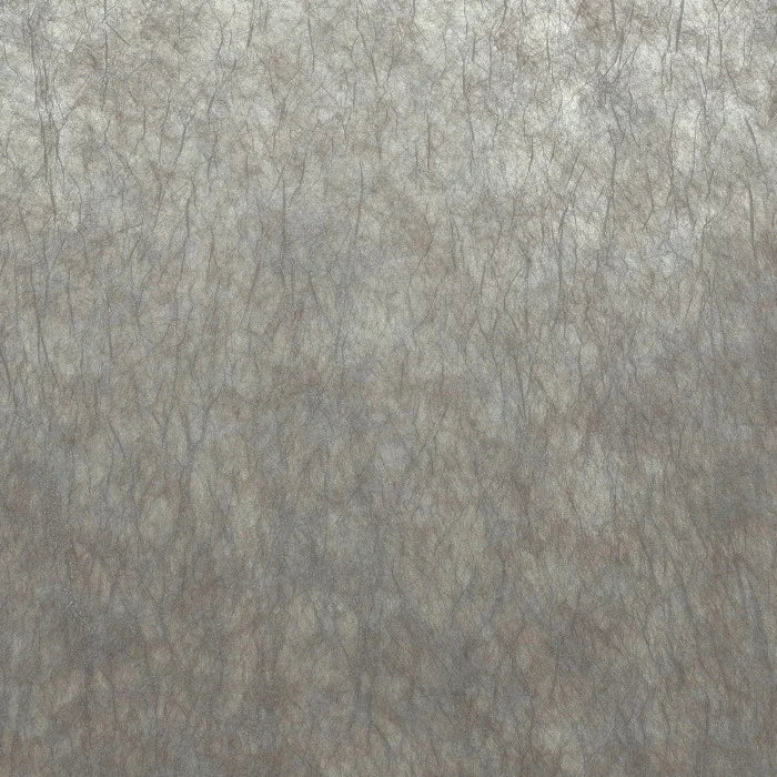 Oxea - Gris Nuage Argenté Wallcovering