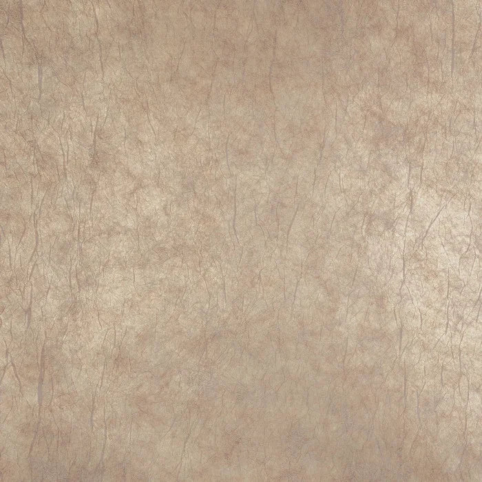 Oxea - Beige Poudré Platine Wallcovering