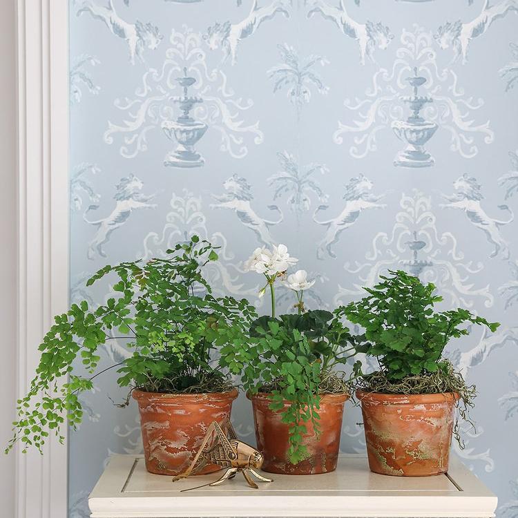 Roar - Silver Lining