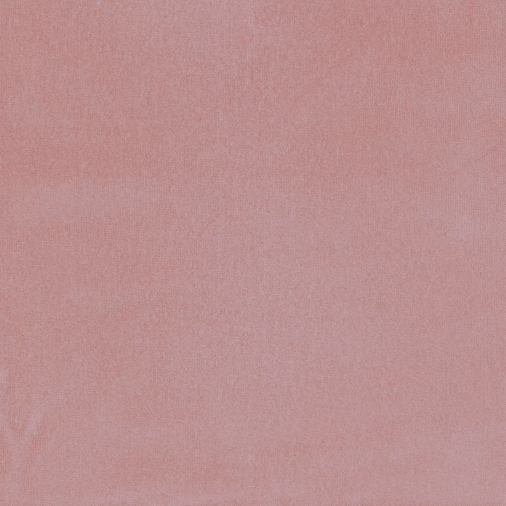 Dolce Vita Rose Poudre