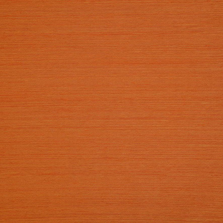 Nirin - Persimmon