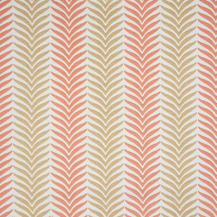 Phyllis - Coral Sands