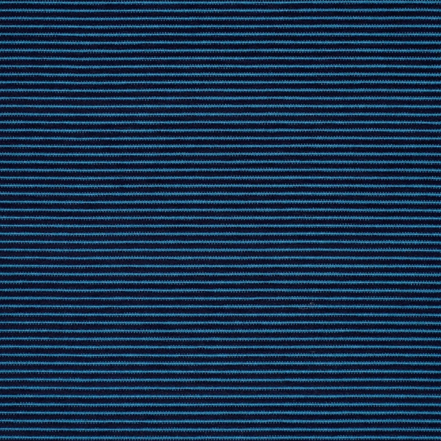 Coastline - Marine Blue