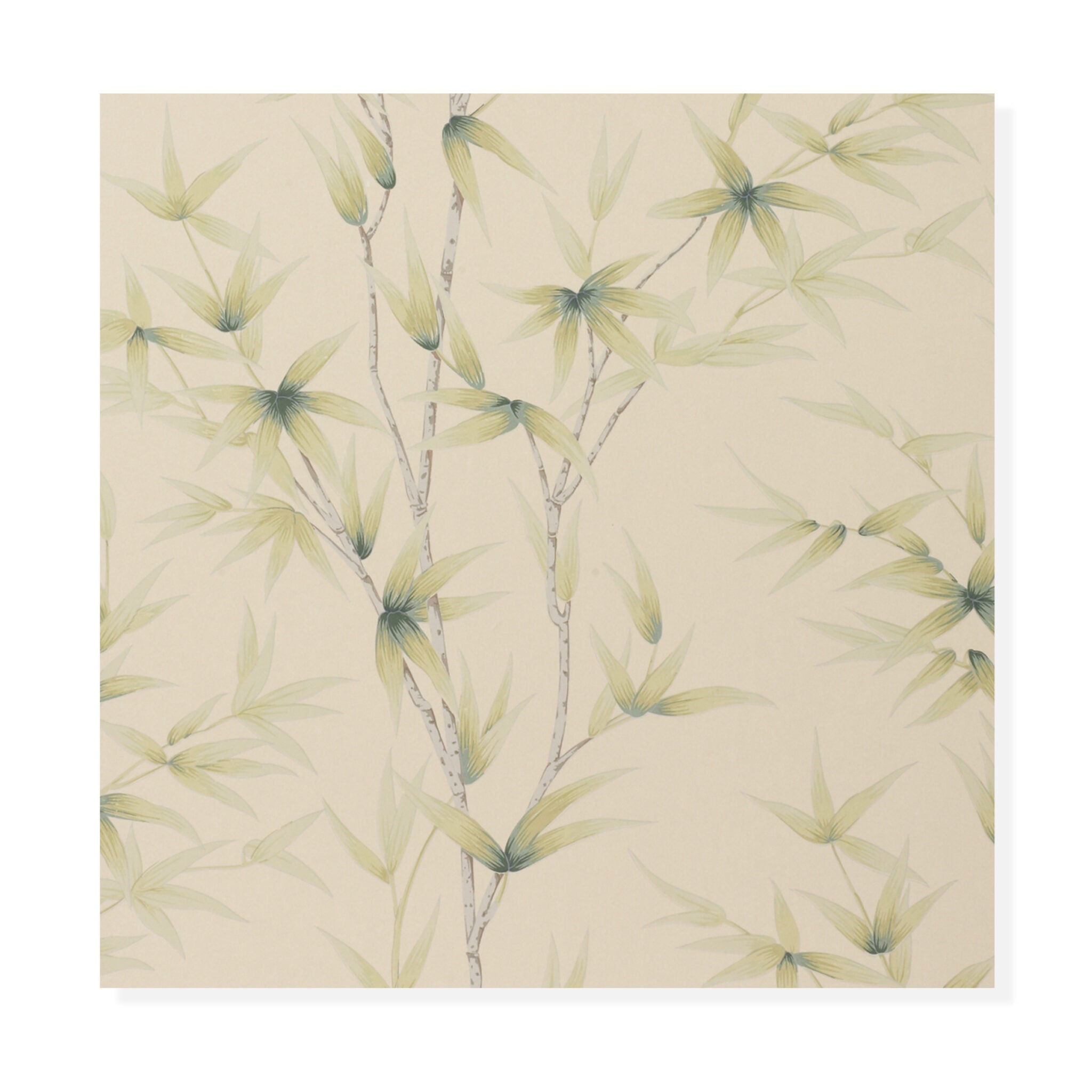 Bamboo - Kiwi Wallcovering