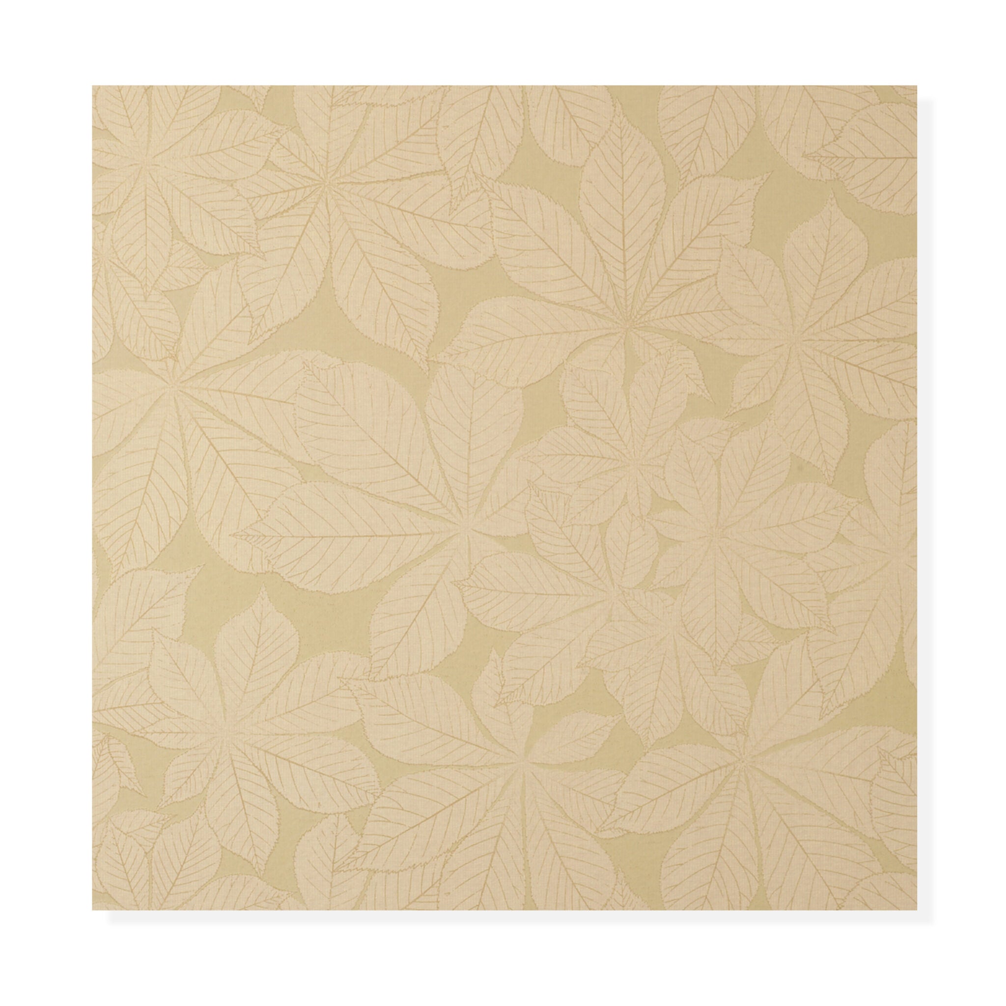 Bay Leaf - Almond / Green Tea