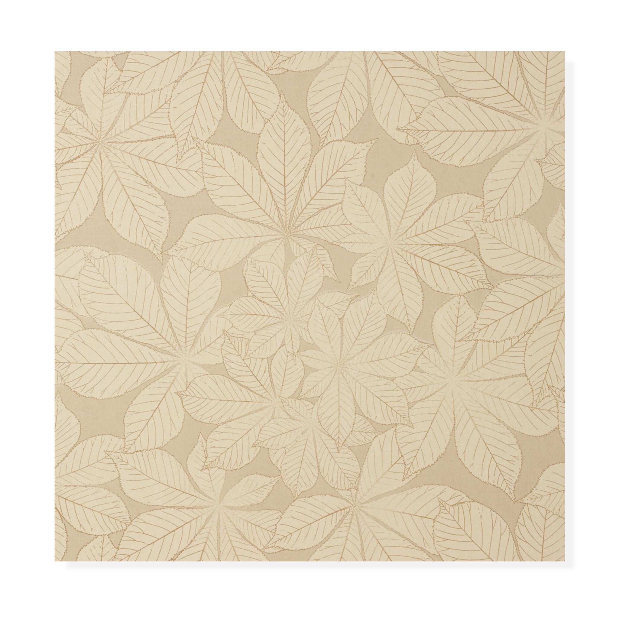 Bay Leaf - Almond / Wheat