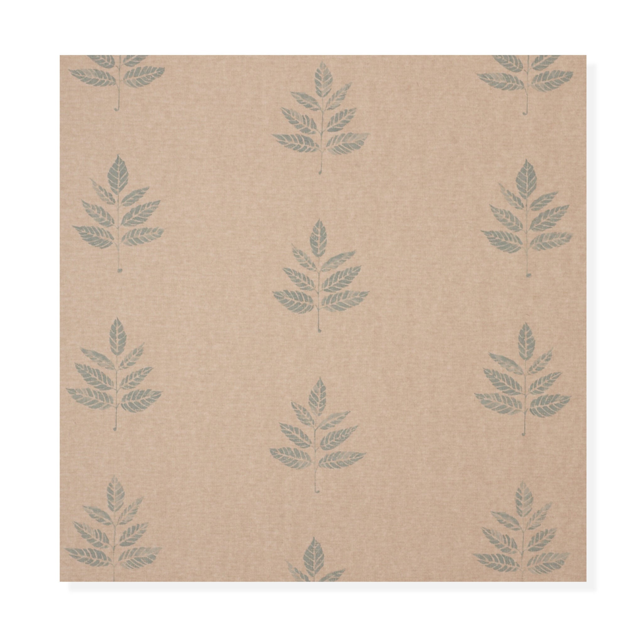 North Woods - Spruce