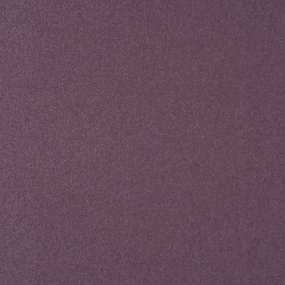 Arthur's Seat Hortensia