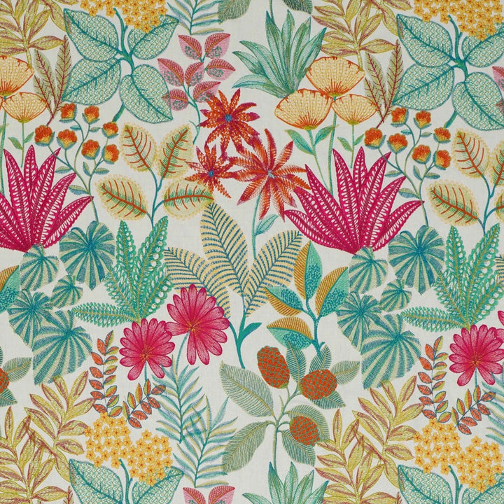 Seychelles - Bloom