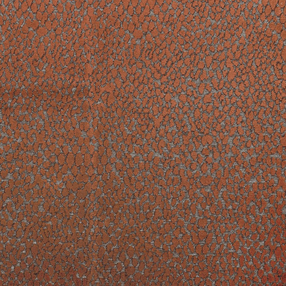 Okavango Orange Brulée