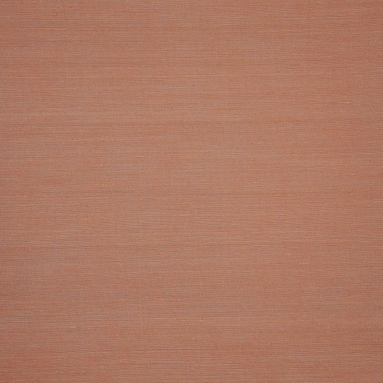 Aranya - Rainbow Trout