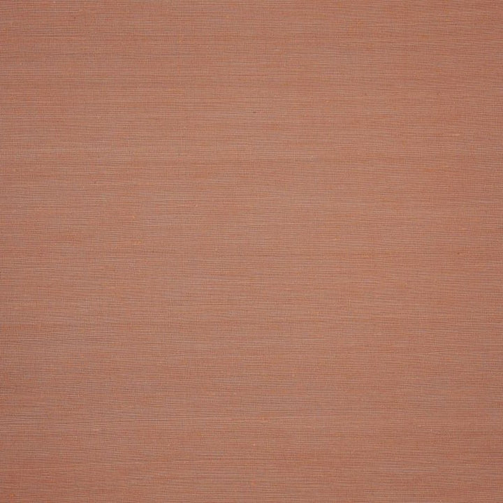 Aranya - Rainbow Trout