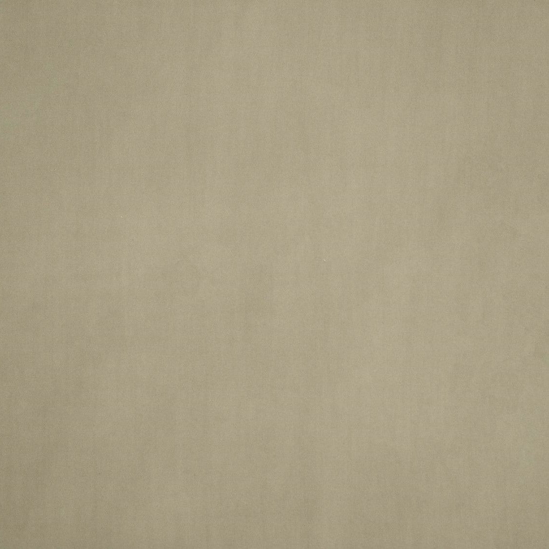 Savoy - Taupe