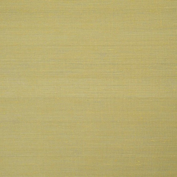 Aranya - Champagne Metallic