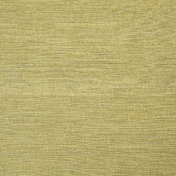 Aranya - Champagne Metallic