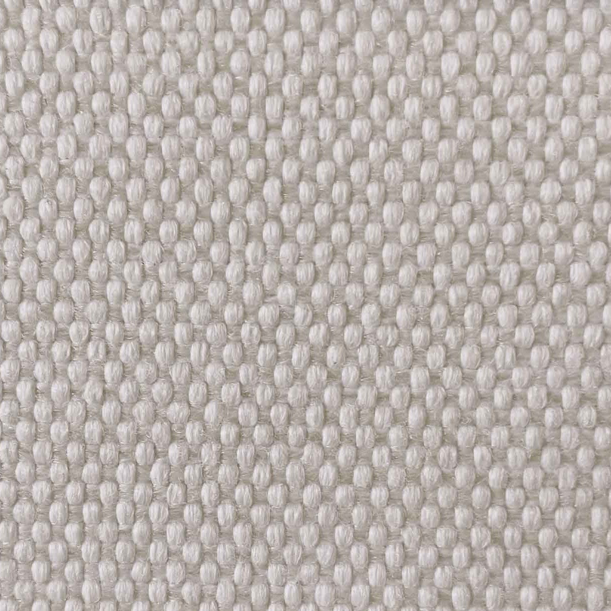 Chesil - Silver Birch