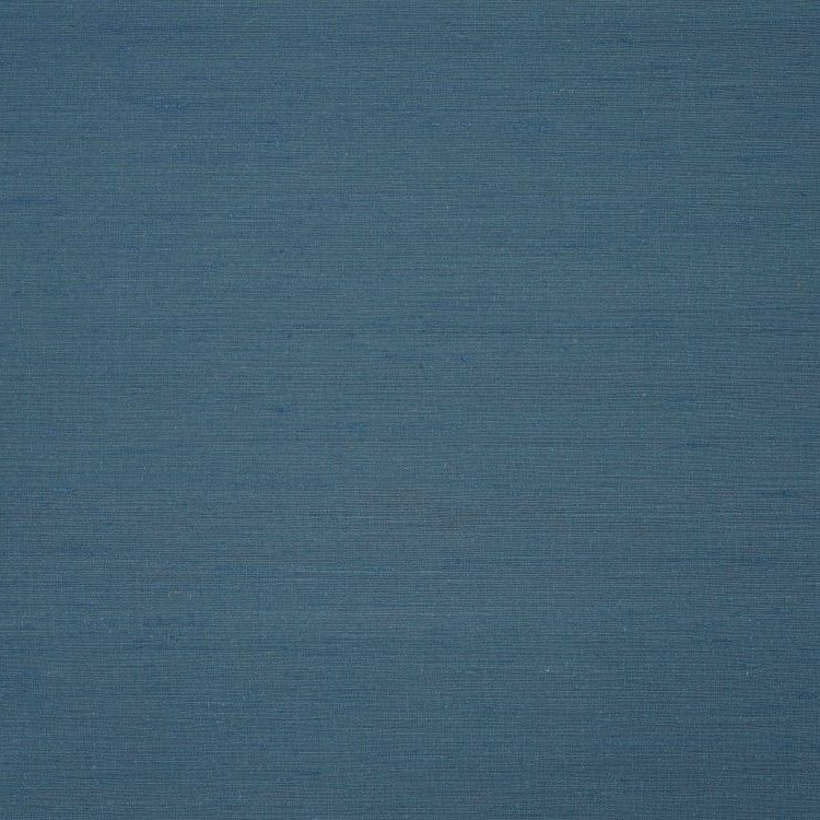 Aranya - Forest Night