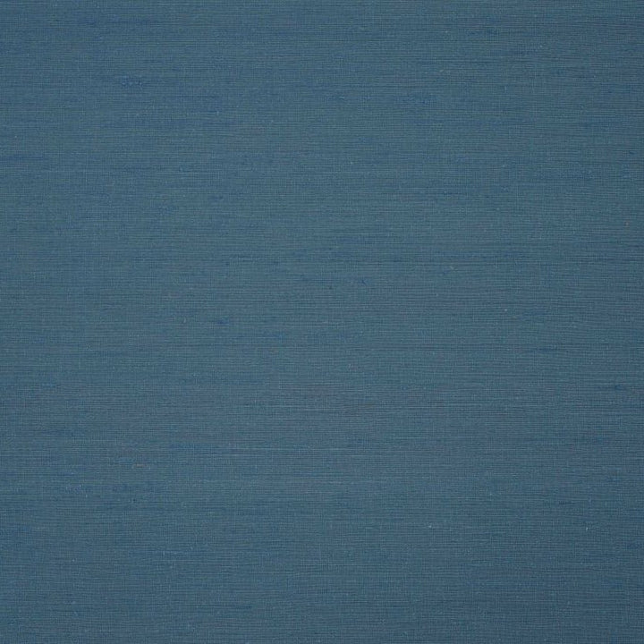 Aranya - Forest Night