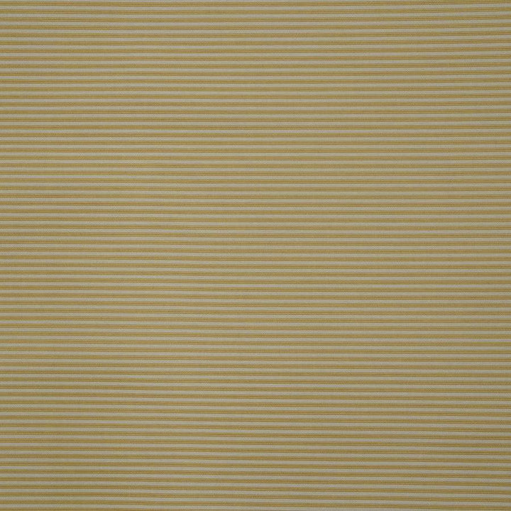 Natee - Yellow Rosehip