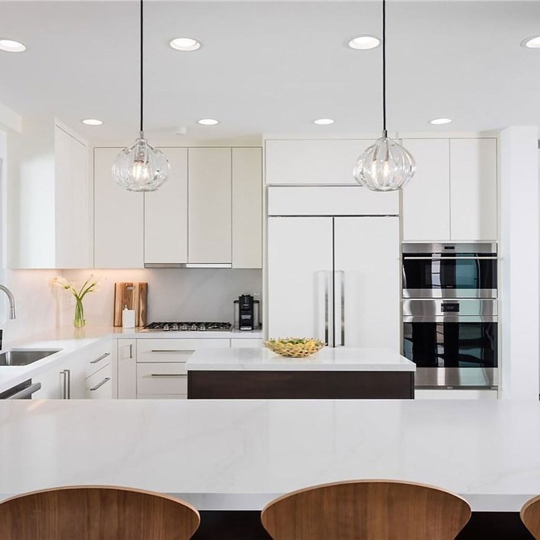 Barnacle Large Urchin Clear