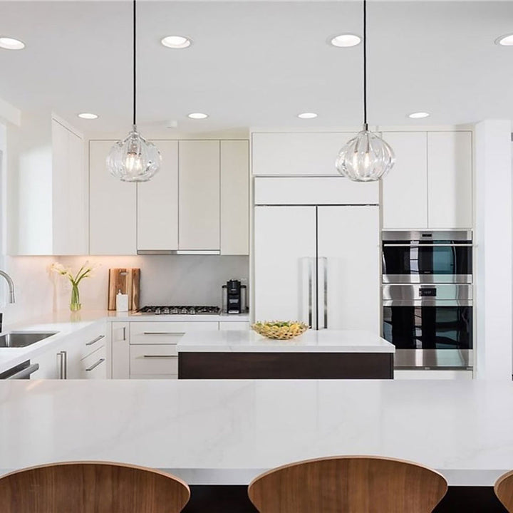 Barnacle Large Urchin Clear