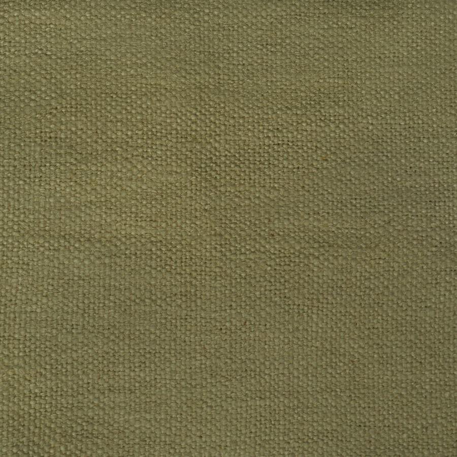 Bombax Cotton - Treetop