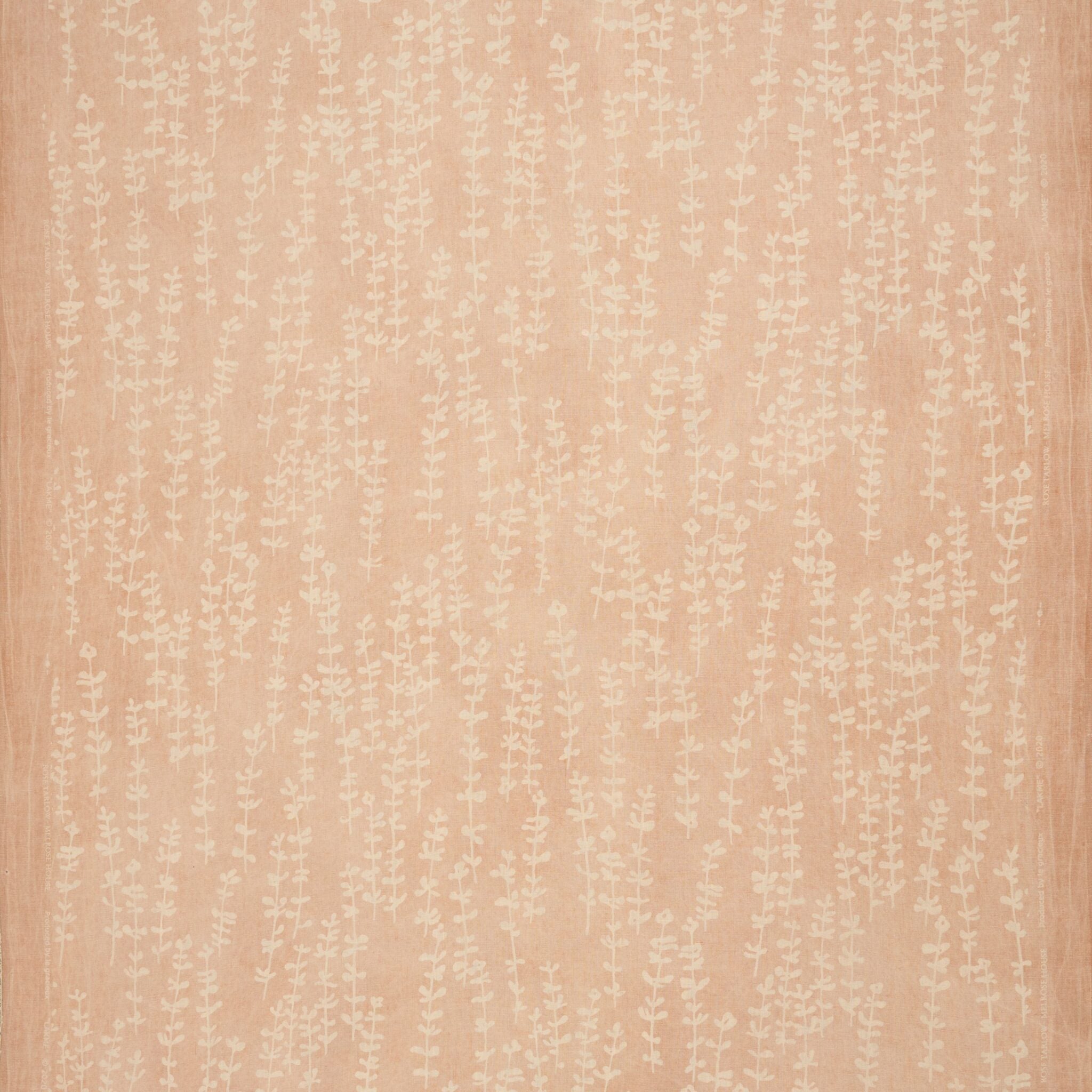 Lakmé - Coquille