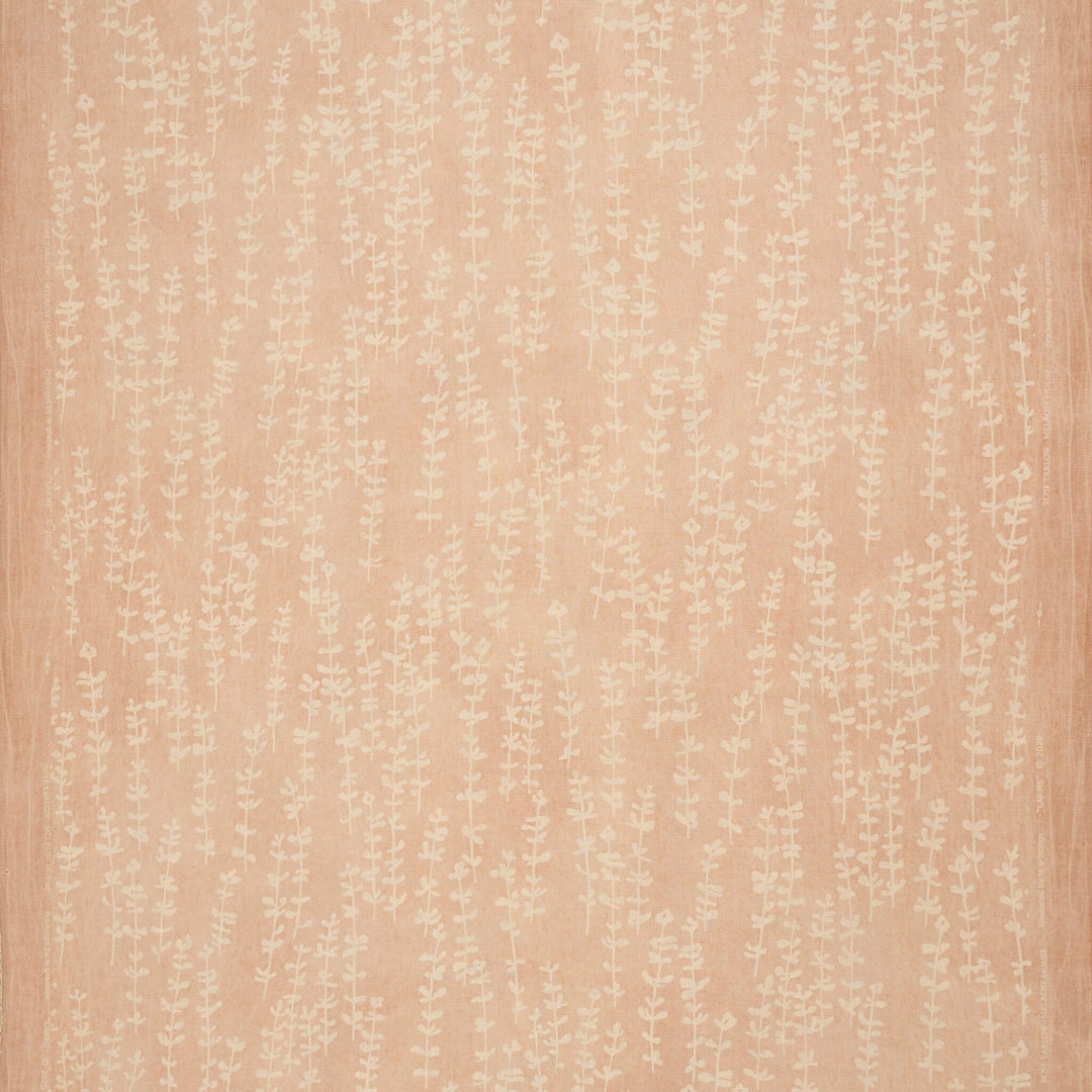 Lakmé - Coquille