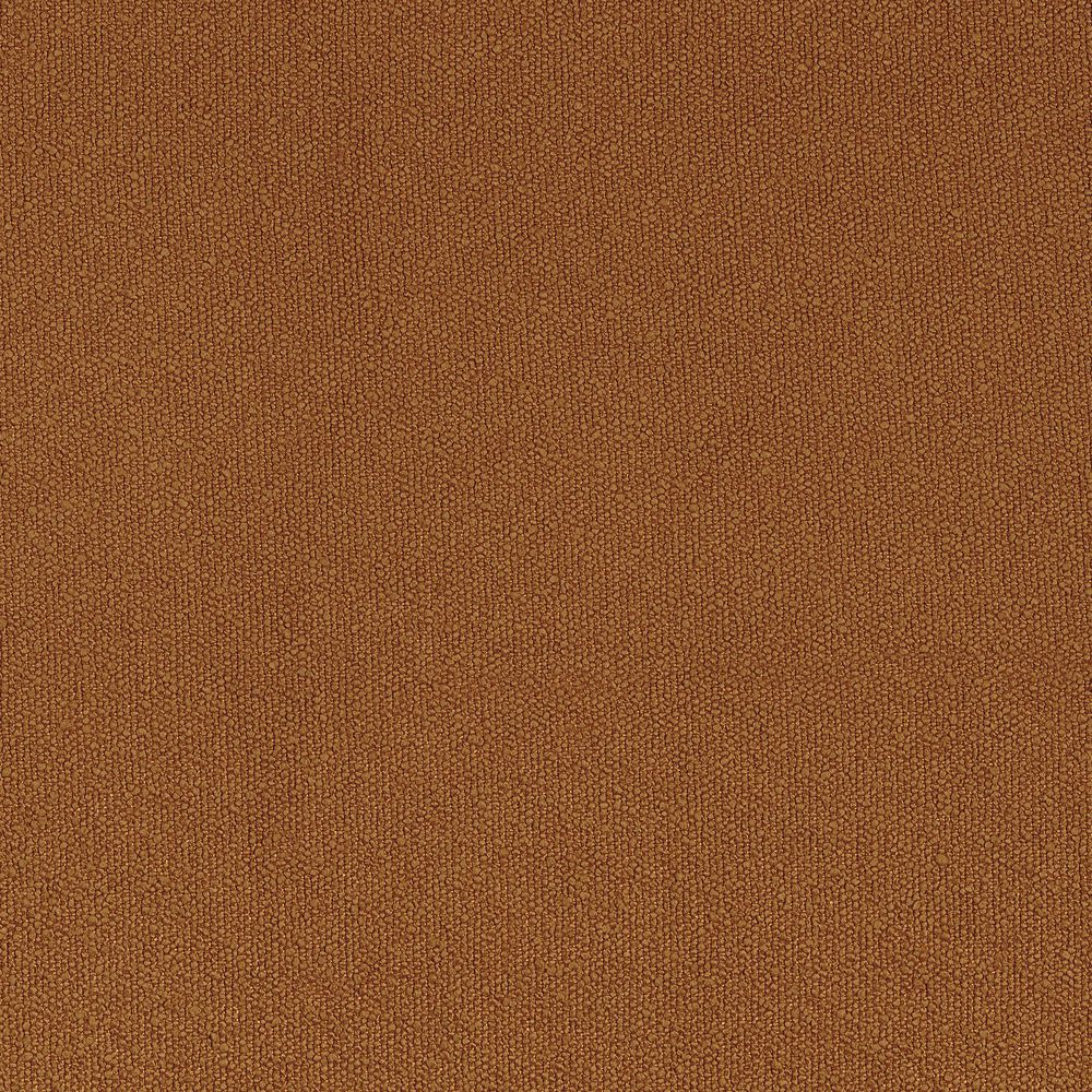 Taiga Ambre