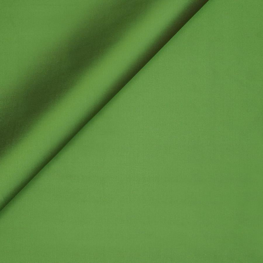 Sasina - Dill Forest