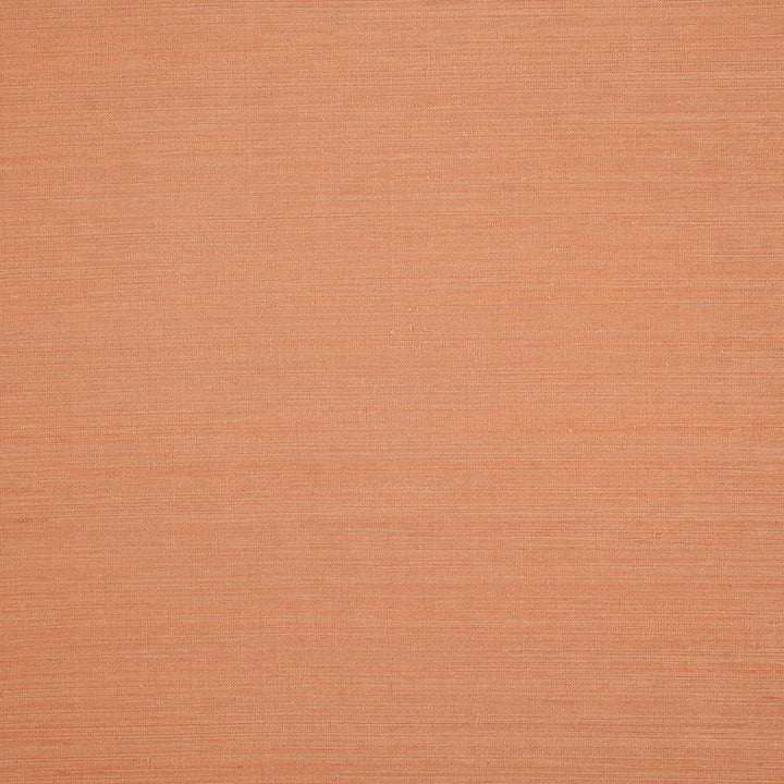 Nirin - Coral
