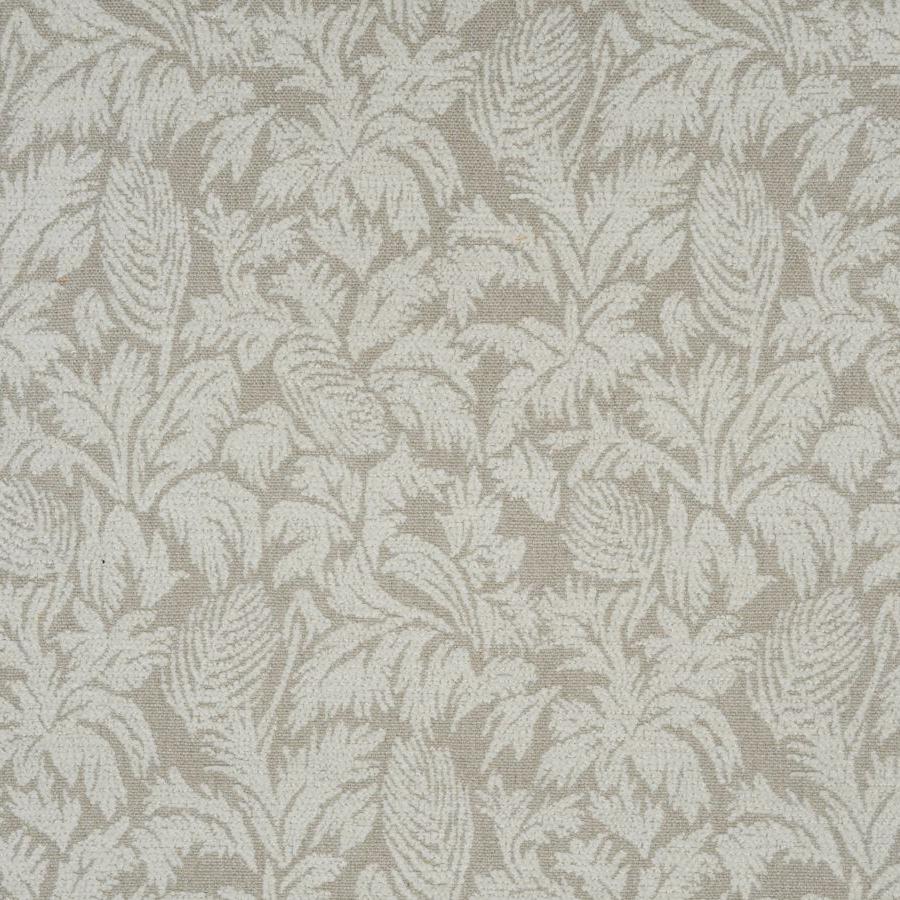 Parlor Palms - Coconut Milk