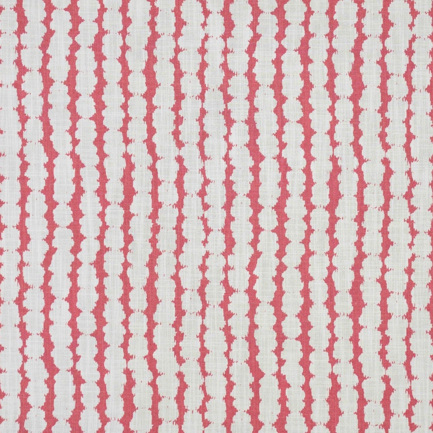 Baccello - Raspberry