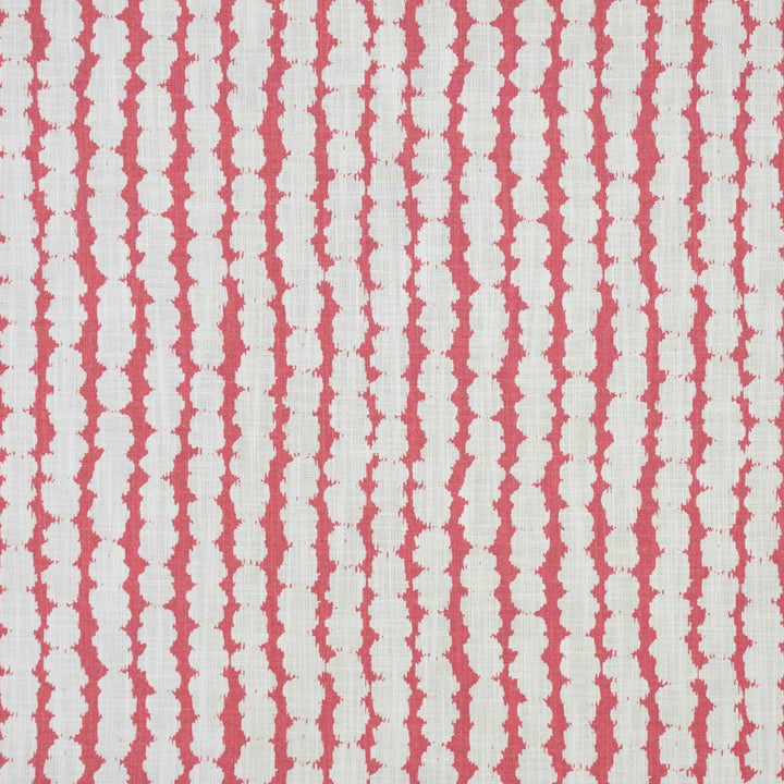 Baccello - Raspberry