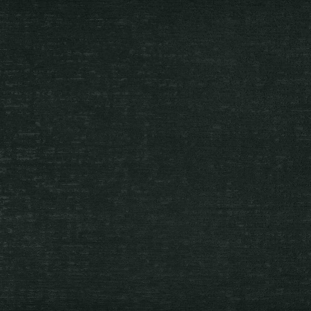 Dinisia Meleze Jerry Pair Florida