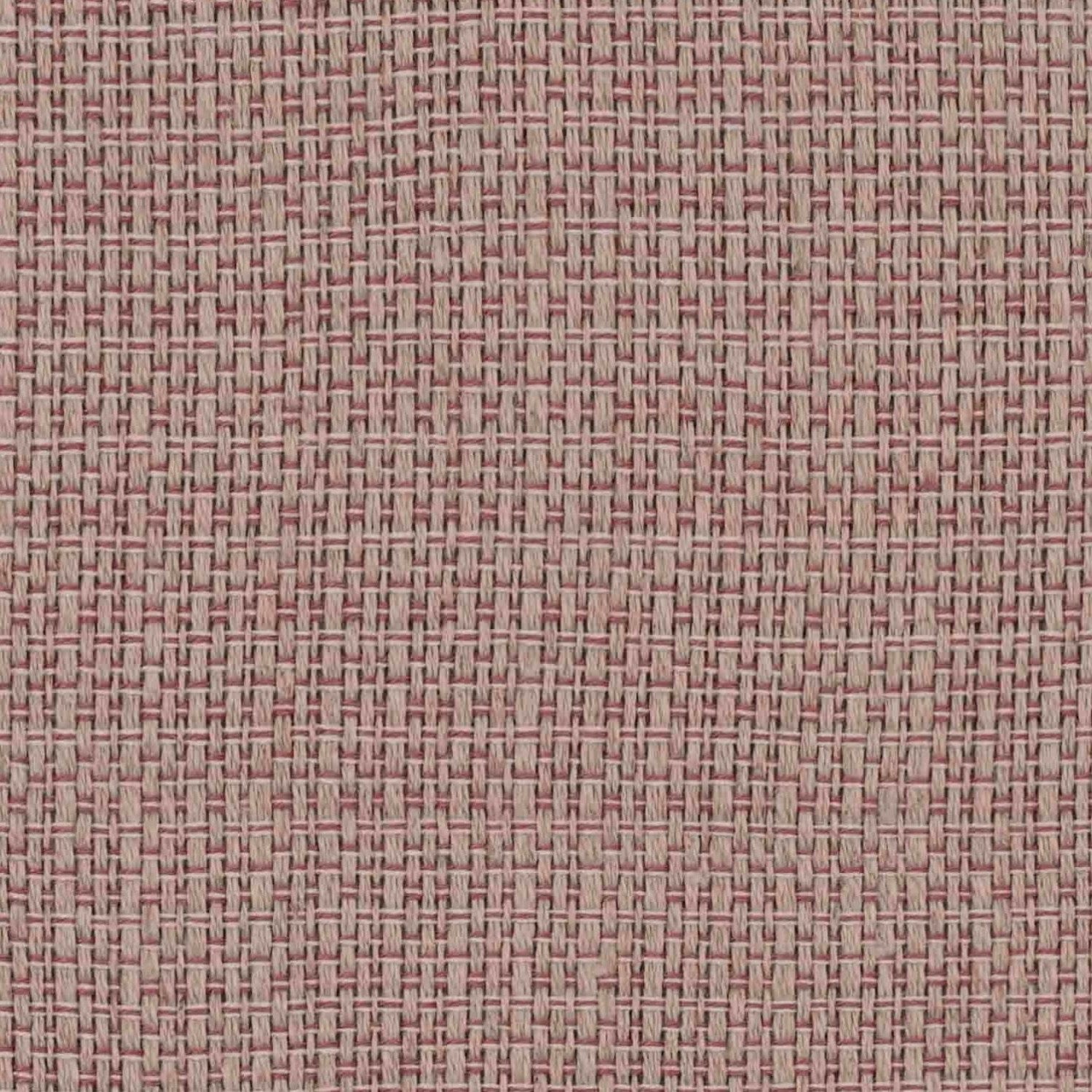 Arden - Pink Lemonade