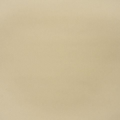Serge - Camel