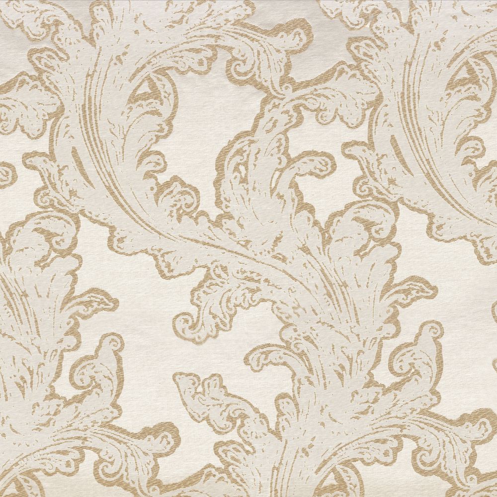 French Cancan Ivoire