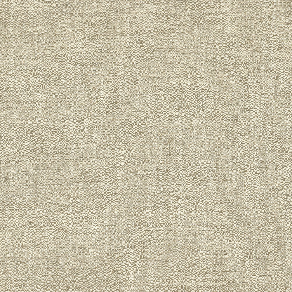 Interview Neige Poudree